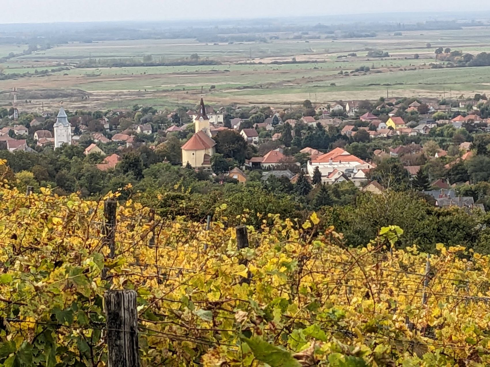 maisonbatori-tarcal13