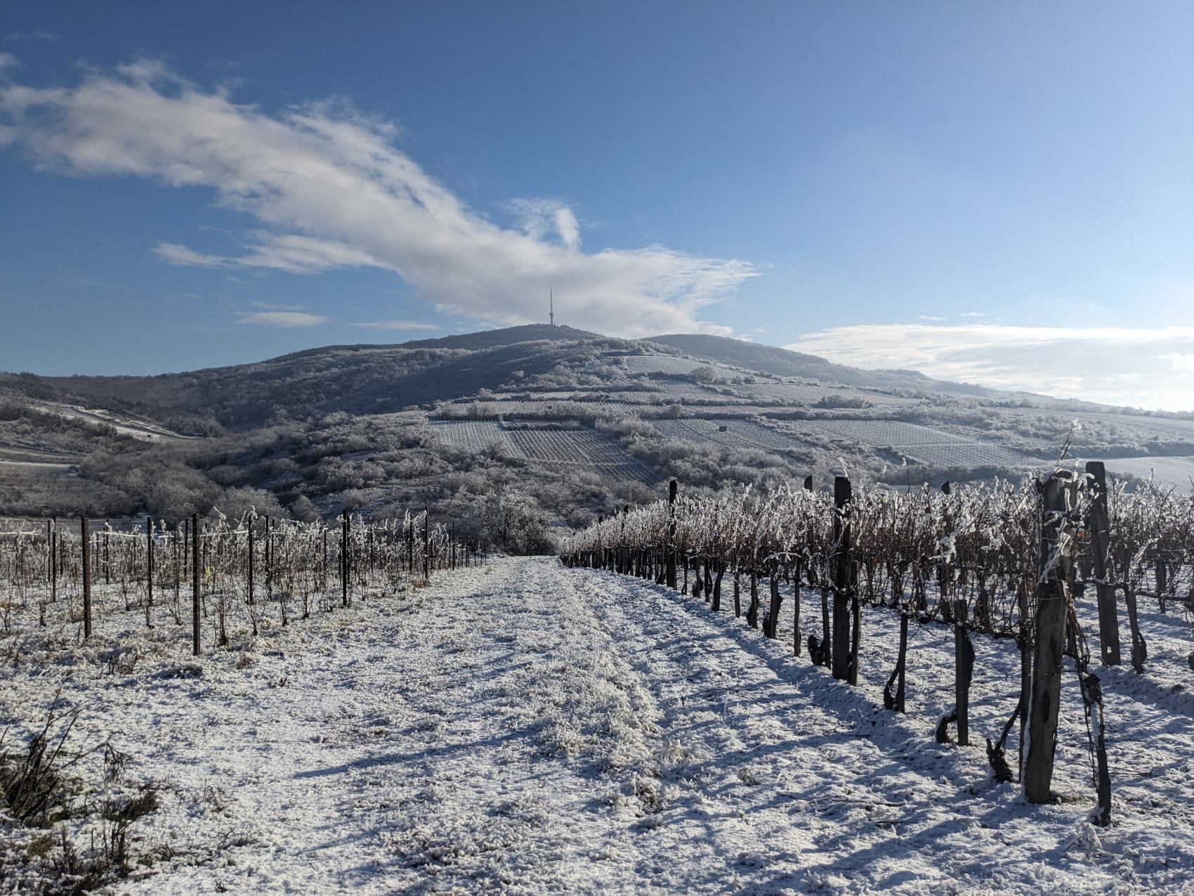 maisonbatori-tarcal6